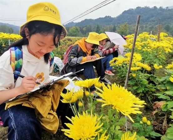 http://www.huangshan.gov.cn/group1/M00/00/85/wKgoC1-fWGyAfsrmAAEJeXzwAp0431.jpg